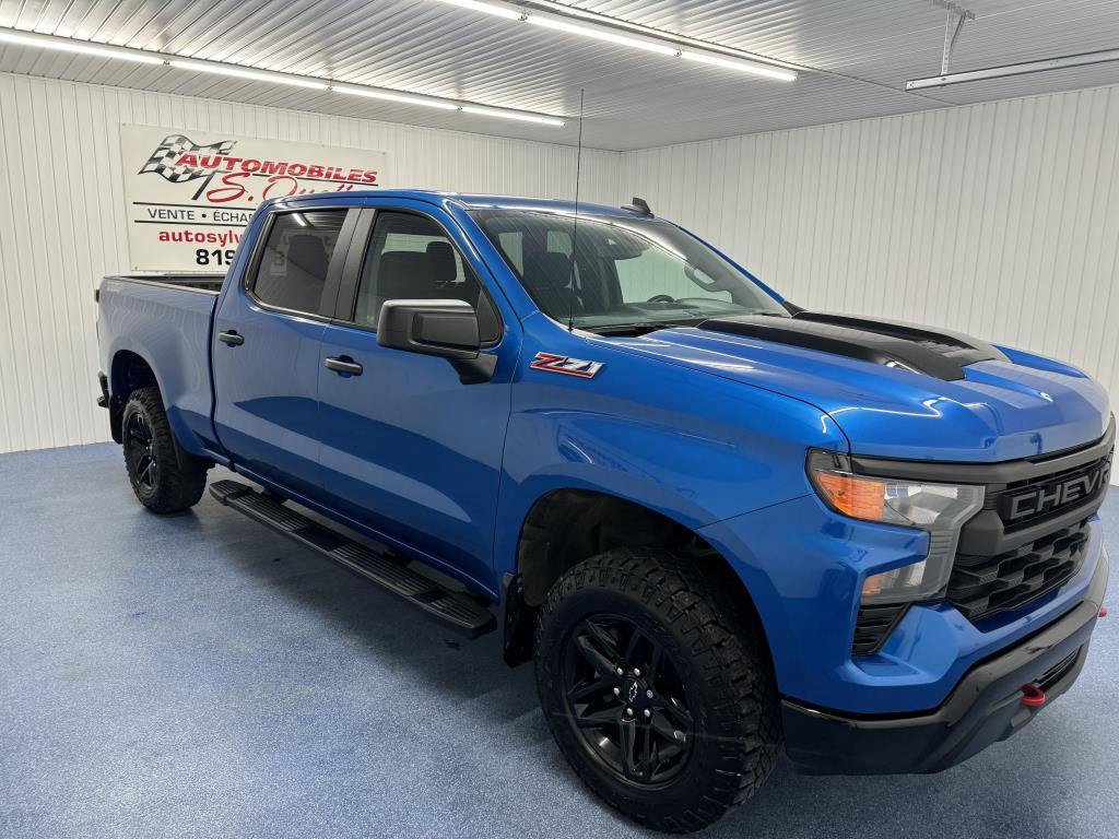 CHEVROLET SILVERADO 1500 2022 - Image 7